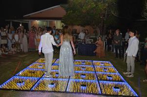 Plantas: imagem 12 de 15